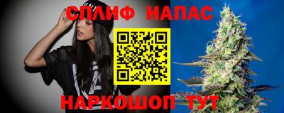 индика Чебаркуль