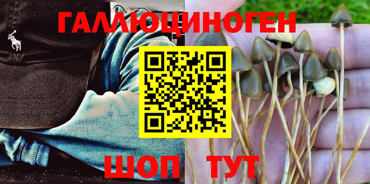 Галлюциногенные грибы MAGIC MUSHROOMS Вольск
