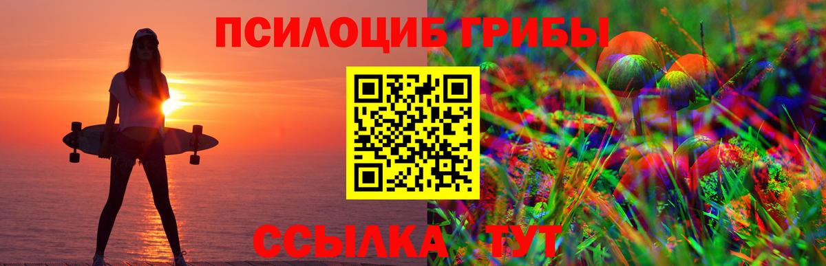 наркота  Вход с VPN  Вольск  Псилоцибиновые грибы MAGIC MUSHROOMS 